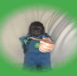 RomeoIsFaded's avatar