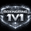BoxingRing1v1