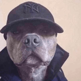 BIggie's avatar