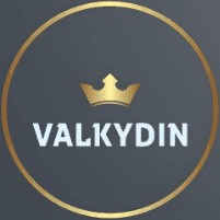 Valkydin's avatar