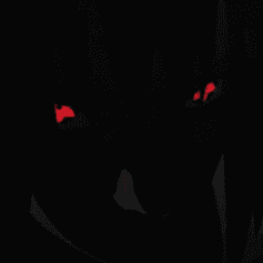 reel's avatar