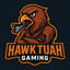 HawkTuah