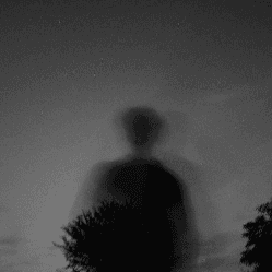 dxmko's avatar