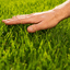 touchgrass