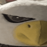 ShootToGill's avatar